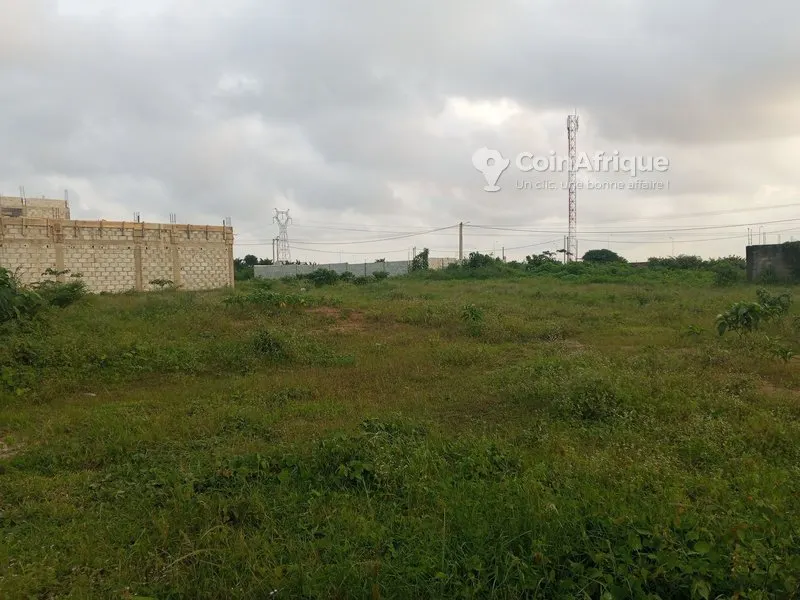 Parcelle 500 m² avec ACD — Bingerville