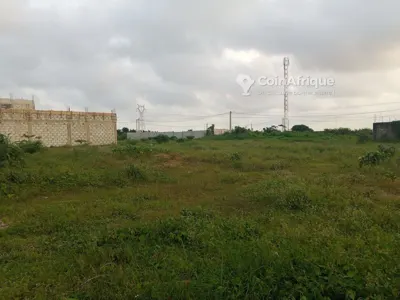 Parcelle 500 m² avec ACD — Bingerville